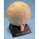 Star Wars Episode 1 The Phantom Menace: Planet Tatooine