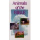 Animals of the Bible (VHS)