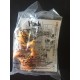 Hardee's: Wild Wonders - Tiger Stamper