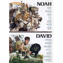 Noah, David - Single-Disc (Multi-Language) Edition (DVD)