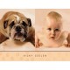 Push Ups - Ravensburger 1000 Piece Puzzle