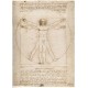 Proportions of The Human Figure - Ravensburger 1000 Piece Puzzle