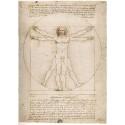 Proportions of The Human Figure - Ravensburger 1000 Piece Puzzle