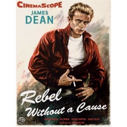 Rebel Without A Cause - Ravensburger 1000 Piece Puzzle