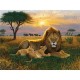 Kings of the Serengeti - Ravensburger 1000 Piece Puzzle