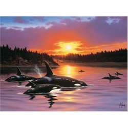 Orcas Going Home - Ravensburger 1500 Piece Puzzle