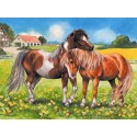Ponies - Ravensburger 35 Piece Puzzle