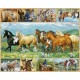 Free Spirits - White Mountain Puzzles 1000 Piece Puzzle
