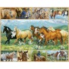 Free Spirits - White Mountain Puzzles 1000 Piece Puzzle