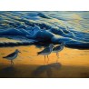 Shore Birds - SunsOut 500 Piece Puzzle