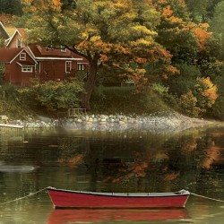 Autumn Cove - Springbok 500 Piece Puzzle