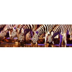 Waterline - Great American Puzzle Factory 500 Piece Panorama Puzzle