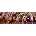 Waterline - Great American Puzzle Factory 500 Piece Panorama Puzzle