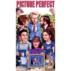Picture Perfect (VHS)