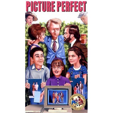 Picture Perfect (VHS)