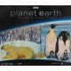 Emperor Penguins with Chicks / Boreal Forest In Snow / Polar Bear & Cub - 3 in 1 Sure-Lox 1500 Piece Puzzle