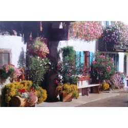 Garmisch Partenkirchen - RoseArt Prestige 1000 Piece Puzzle