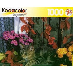 Cozy Kitty - RoseArt Kodacolor 1000 Piece Puzzle