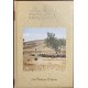 The Living Bible Encyclopedia in Story and Pictures Volume 14 - Hardcover