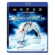 Stargate: Continuum - Single-Disc Widescreen Edition (Blu-ray)