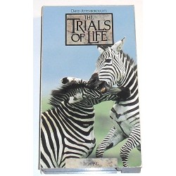 The Trials of Life: Fighting (VHS)